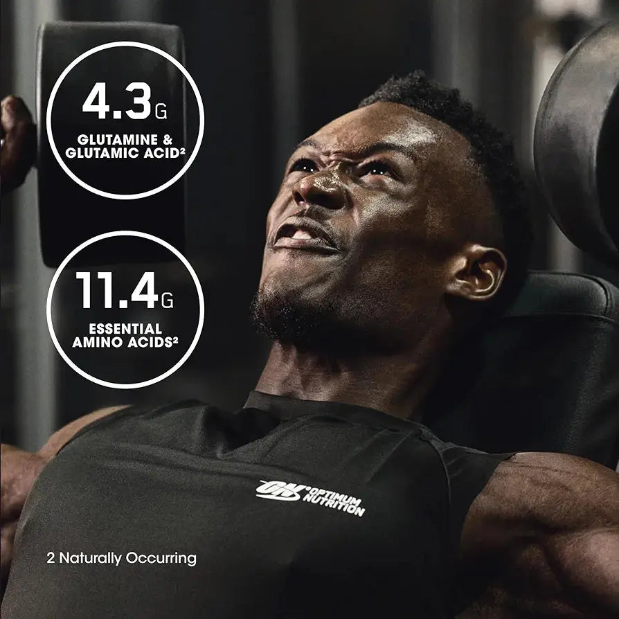 Optimum Nutrition Gold Standard 100% Isolate, Protein Powder, Chocolate Bliss - Winter Seller Hub
