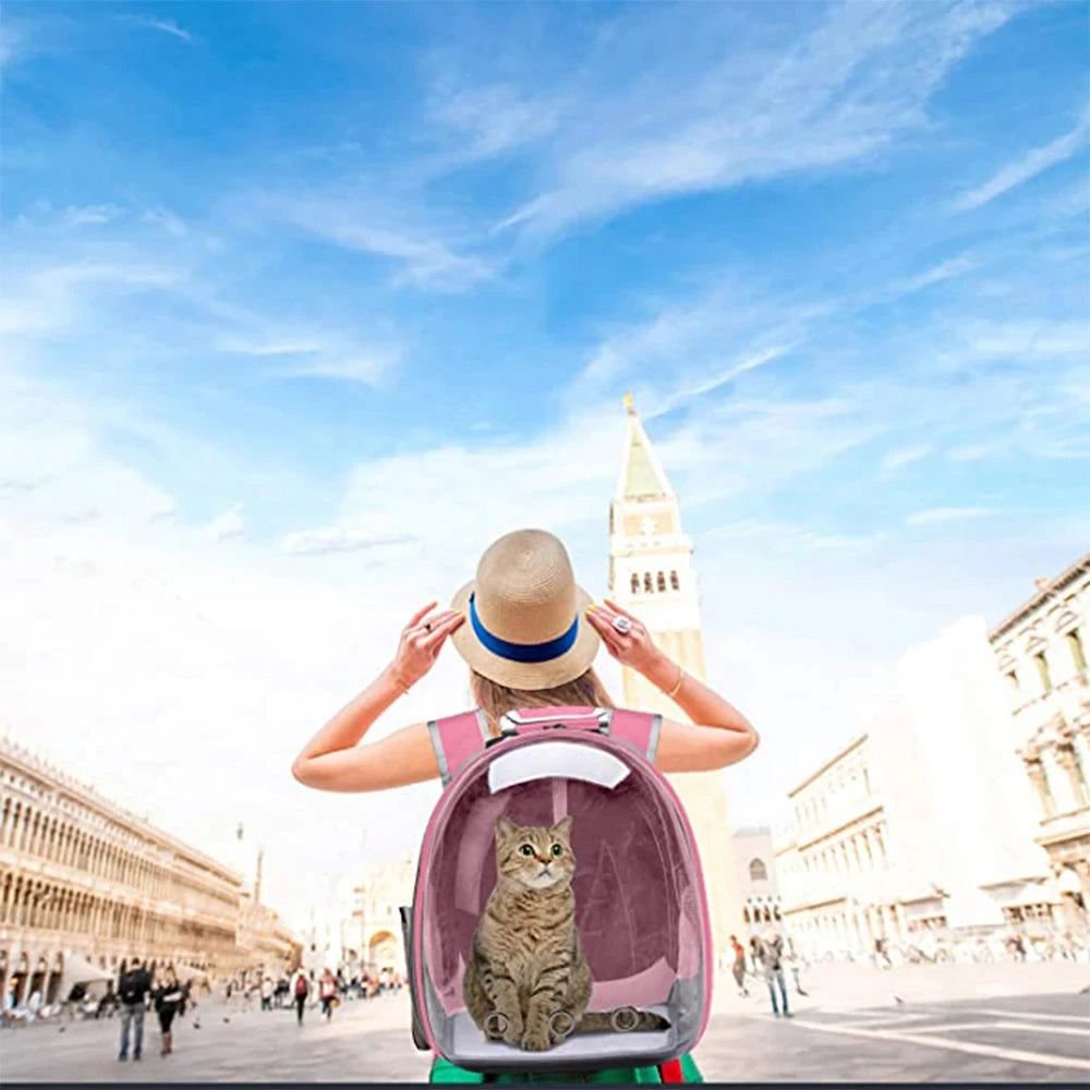 Transparent Bubble Pet Carrier Backpack – Cats & Small Pets - Winter Seller Hub