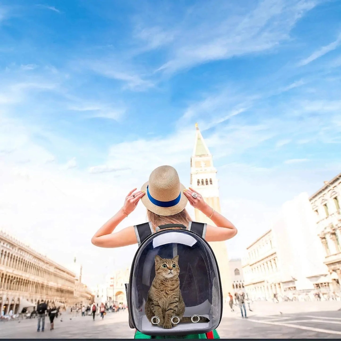 Transparent Bubble Pet Carrier Backpack – Cats & Small Pets - Winter Seller Hub