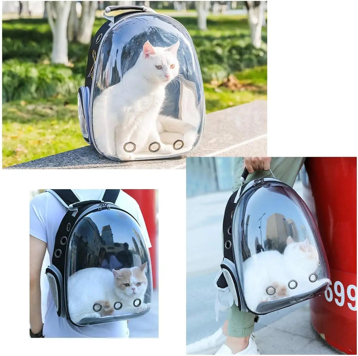 Transparent Bubble Pet Carrier Backpack – Cats & Small Pets - Winter Seller Hub