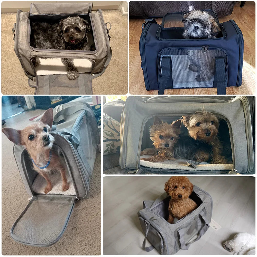 Airline-Approved Soft-Sided Pet Carrier Backpack for Small Dogs & Cats - Winter Seller Hub