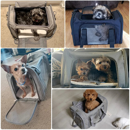 Airline-Approved Soft-Sided Pet Carrier Backpack for Small Dogs & Cats - Winter Seller Hub