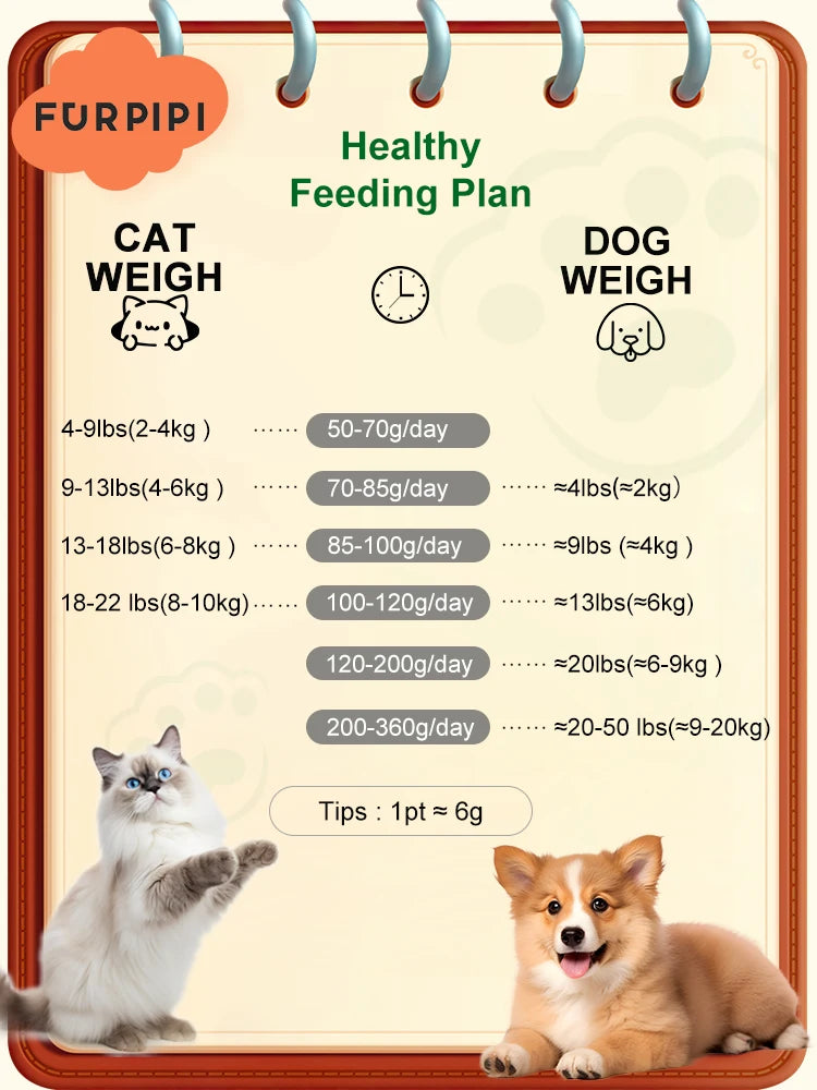 Automatic Cat Feeder with Camera – 2.4G/5G Wi-Fi, Tuya App - Winter Seller Hub