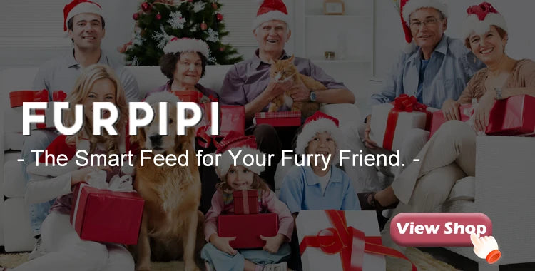 Automatic Cat Feeder with Camera – 2.4G/5G Wi-Fi, Tuya App - Winter Seller Hub