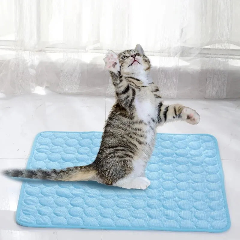 Cooling Pet Bed Mat – Summer Cat & Small Dog Sofa Pad - Winter Seller Hub